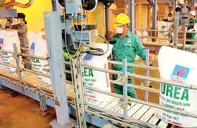 Urea being packed in the Phu My Fertilizer Plant (Photo: SGGP)
