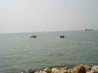 Viettel's Sea+ service designed with a view to helping make the lives of people in sea and coastal areas safer and more convenient (Photo: U. Phuong)