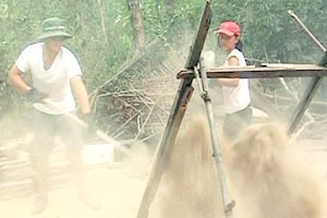 US student group help in Vietnamese village ảnh 1