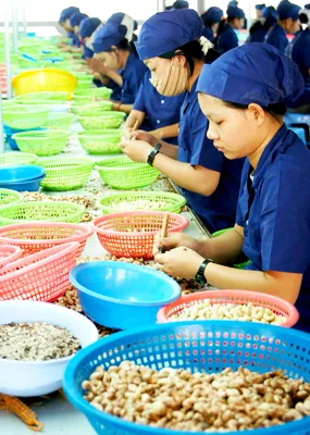 Xuất siêu gần 5 tỷ USD nông sản - Một bước tiến vững chắc