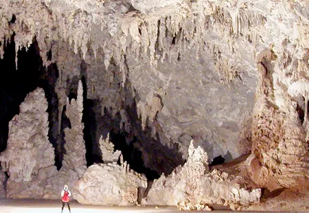 Thạch nhũ như rừng trong hang động mới phát hiện. Ảnh: BCRA