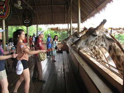 Du lịch Việt Nam hụt hơi