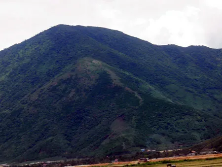 Xét nghiệm mẫu máu nghi là của con hổ sổng chuồng bị thương