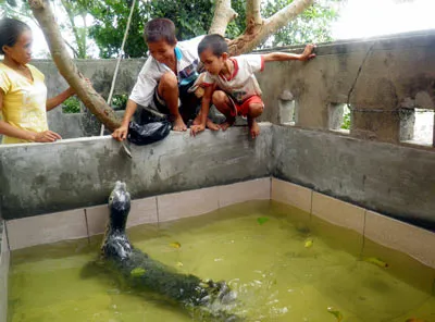 Chú hải cẩu này rất thích chơi với trẻ con