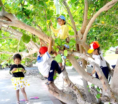 Mầm xanh trên quần đảo Trường Sa.