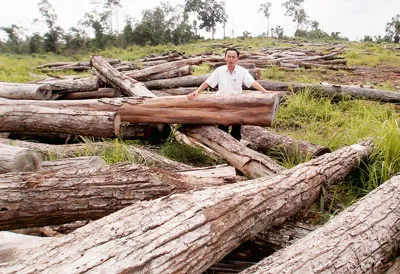 Loạn tranh chấp đất rừng
