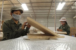 People work at Haya furniture exporter outside Hanoi June 15, 2011. The accusation of EIA about Vietnam's firms using illegal timber for exports has affected the country's furniture prestige (Photo by Reuters)