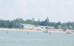 Coastal shrimp farms in the Mekong Delta. Shrimp farmers in the delta are experiencing a paradox of low prices amid short shrimp supply (Photo: Minh Tri)