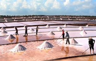 An undated file photo shows salt production in Vietnam