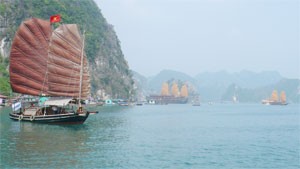 Tourist boats in Ha Long Bay in the central province of Quang Ninh. A few local tour operators offer tourists travel insurance (Photo: Phan Hien)