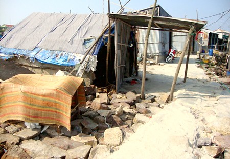 Nearly 100 households living on dykes live in fear of being swept away. (Photo:SGGP)