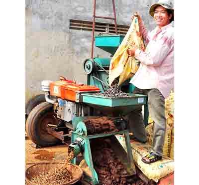 A farmer in Buon Ma Thuot seems happy with a bumper coffee harvest (Photo: SGGP)