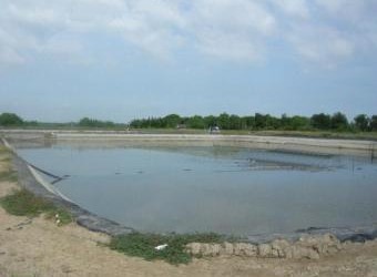 A shrimp-breeding farm in Ben Tre. Authorities in Ben Tre Province are not encouraging farmers to breed shrimps at the moment
