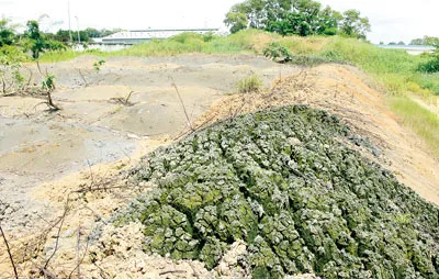 Khu chôn lấp hàng ngàn tấn nghi là chất thải nguy hại tại một khu đất trên đường 19A, KCN Biên Hòa 2, do Công ty CP Dịch vụ Sonadezi quản lý. Ảnh: P.H.N.