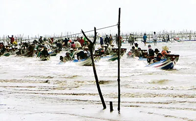 Hàng ngàn người xông vào cướp nghêu giống và nghêu thương phẩm tại bãi nghêu Khai Long ở xã Đất Mũi, huyện Ngọc Hiển tỉnh Cà Mau.