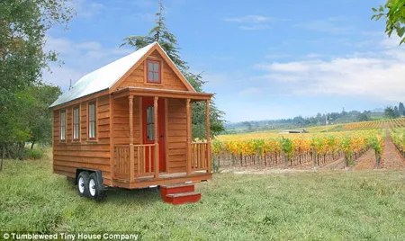 Căn hộ mini giá chỉ từ 99 USD ảnh 1