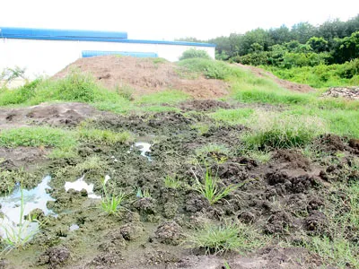 Một bãi đất trống trong Khu xử lý chất thải Quang Trung nghi đã chôn chất thải nguy hại rồi lấp đất lên.