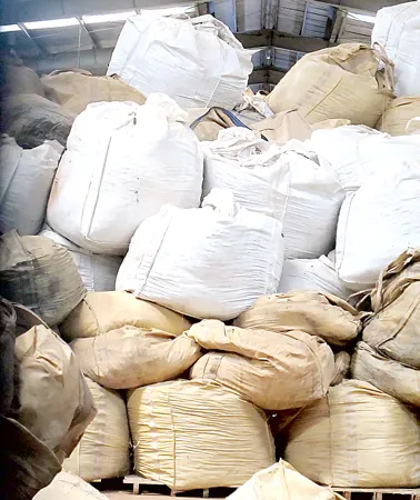 Sonadezi đã làm gì với 5.316 tấn chất thải nguy hại? - Làm rõ các sai phạm