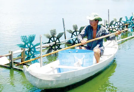 Ông Trần Đức Nha (xã Phước Sơn, Tuy Phước, TP Quy Nhơn) kiểm tra hồ nuôi tôm thẻ chân trắng. Ảnh: HOÀNG TRỌNG