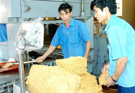 Ngành công nghiệp cao su VN -  Hư danh?