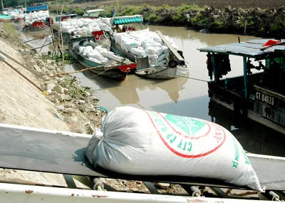 Nông dân tham gia cánh đồng mẫu lớn tại xã Vĩnh Bình, huyện Châu Thành, tỉnh An Giang được bao tiêu sản phẩm. Ảnh: BÌNH ĐẠI