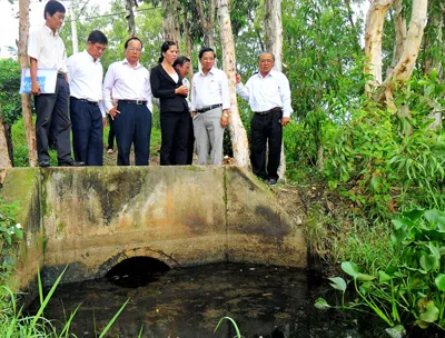 Chế tài doanh nghiệp “đen”chưa đủ liều