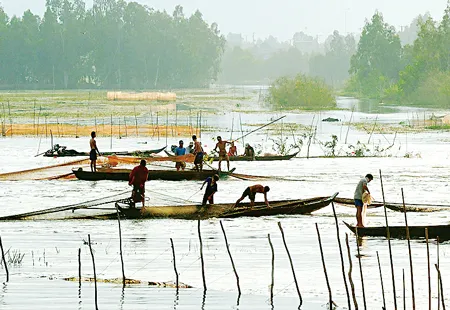 Lũ về đem theo nhiều nguồn lợi cá tôm.