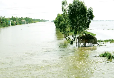 Mưu sinh mùa nước nổi