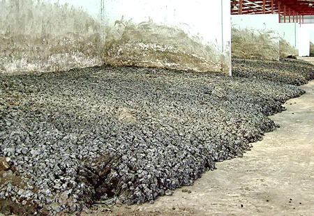 Nhà máy xử lý nước thải Bình Hưng (TPHCM) - Đầu độc môi trường