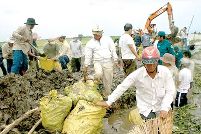 Lực lượng chức năng khẩn cấp gia cố đê Tha La, bảo vệ hàng ngàn ha lúa vụ 3 tại thị xã Châu Đốc, tỉnh An Giang.