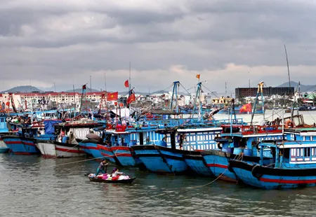 Ngư dân đưa tàu thuyền về neo đậu tránh bão tại âu thuyền Thọ Quang, TP Đà Nẵng.