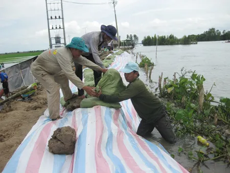 Người dân xã Tân Hộ Cơ, huyện Tân Hồng, tỉnh Đồng Tháp gia cố tuyến đê bao bị vỡ ở ấp Đuôi Tôm. Ảnh: Huỳnh Lợi