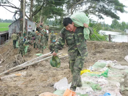 Lực lượng Bộ đội tỉnh Đồng Tháp giúp dân gia cố đê bao bảo vệ lúa vụ 3 ở huyện Tân Hồng. Ảnh: Huỳnh Lợi