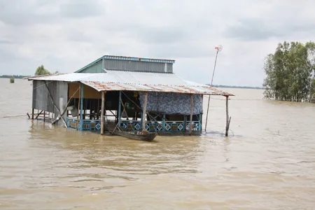 Nhà dân ở Đồng Tháp chìm trong biển nước. Ảnh: Huỳnh Lợi