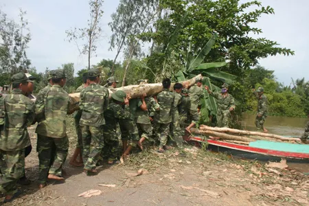 Nhiều ngày qua, lực lượng bộ đội luôn có mặt tại các nơi xung yếu, giúp dân xã Ô Long Vĩ, huyện Châu Phú, tỉnh An Giang huy động người dân sẵn sàn hiến cây bạch đàn đề gia cố đê, cứu lúa. Ảnh: Bình Đại