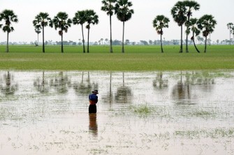 A Cambodian man walks through a rice field in floodwaters at Pea Reang district in Prey Veng province, some 60 kilometers east of Phnom Penh on October 6, 2011.