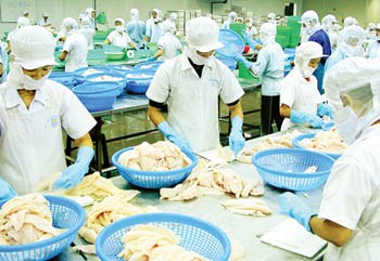 Workers processing seafood at an export unit in the Mekong Delta province of Dong Thap (Photo: SGGP)