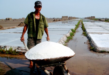 Farmers are happy with the new project that will purchase salt from farmers at reasonable rates (Photo: SGGP)