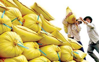 Farmers stockpile bags of rice in the Mekong Delta province of Soc Trang to meet the demand of HCMcity market
