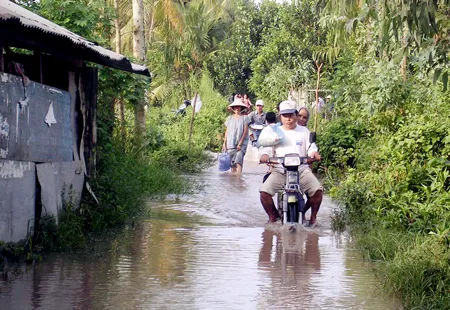 Nhiều tuyến đường nông thôn ở Đồng Tháp ngập nước. Ảnh: Huỳnh Phước Lợi