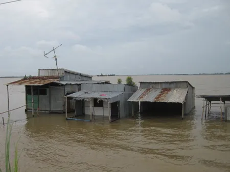 Đồng Tháp: Trên 21.457 căn nhà bị ngập do lũ