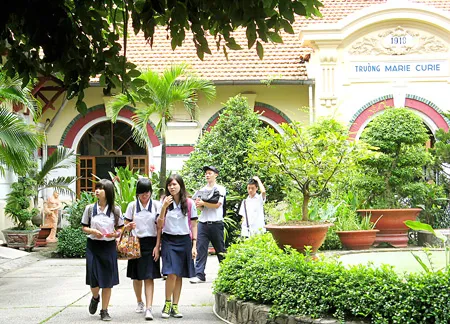 Tư vấn học đường - Lợi ích đôi đường ảnh 2