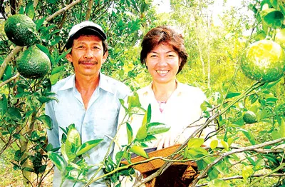 Cam sành lột vỏ còn the