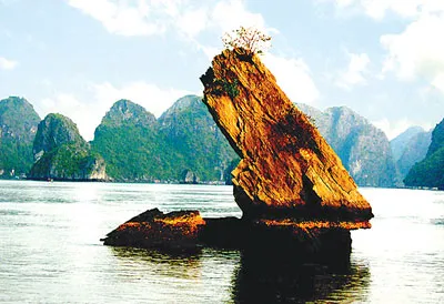 Hòn Con Cóc trong lòng vịnh.