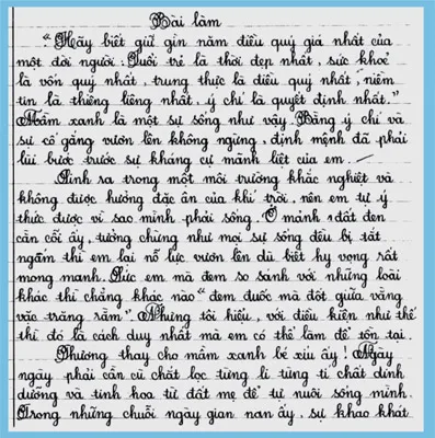 Bài làm của thí sinh Trần Thị Thanh Tâm, lớp 7A1 THCS Bình Chiểu, quận Thủ Đức, giải nhất khối lớp 6, 7.