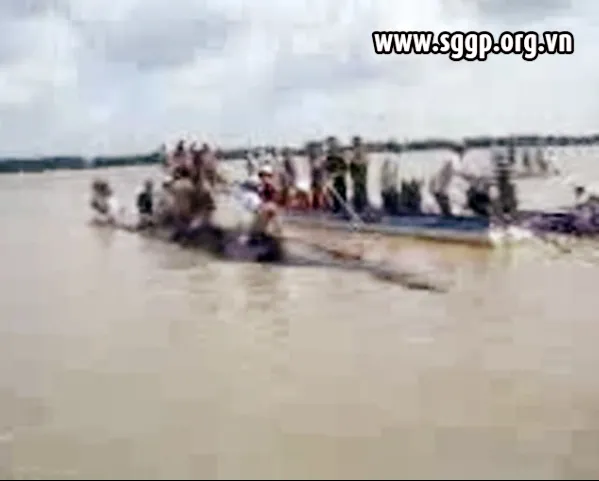 Cà Mau: Giải cứu thành công cá Voi nặng hơn 30 tấn ảnh 3