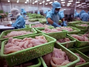 Pangasius processed at a factory (File Photo: Vietnamplus)