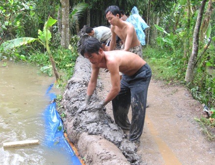 (File) Residents in the Mekong province of Dong Thap reinforce a flood barrier early October 2011 (Photo: Sai Gon Giai Phong)