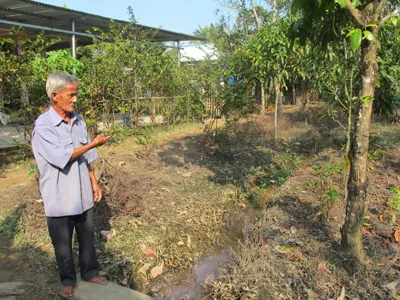 Ông Trần Văn Niên, ngụ ấp 1, xã Tam An chỉ đường nước thải từ hồ sinh thái chảy vào vườn cây. Chỉ vài ngày nữa, vườn cây ăn trái của ông sẽ trụi lá và chết khô vì nước thải ô nhiễm từ hồ sinh thái xả ra.