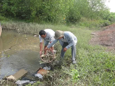 Ông Nguyễn Văn Trai và Nguyễn Văn Sơn (ngụ ấp 2, xã Tam An) đang tìm cách khóa van không cho nước thải chảy từ hồ sinh thái ra rạch Bà Chèo.